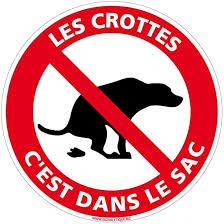 📢 Déjections canines
